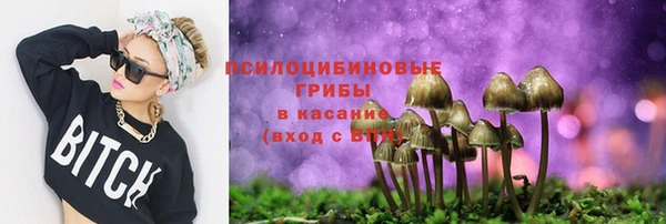 мет Кукмор