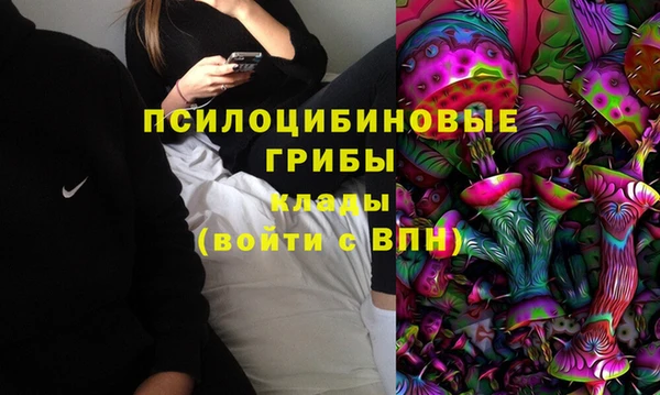 дживик Лихославль