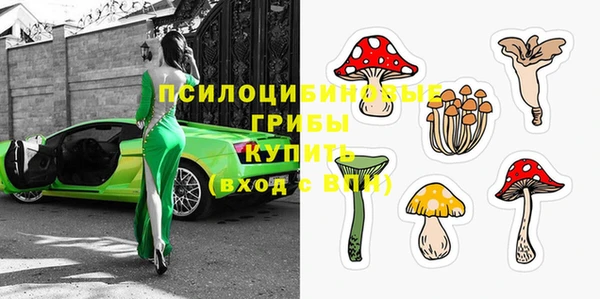 дживик Лихославль