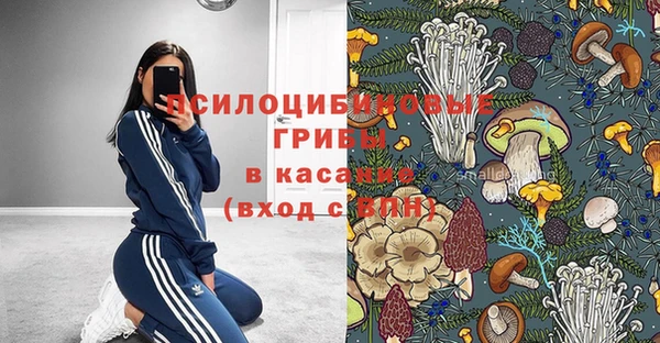 дживик Лихославль