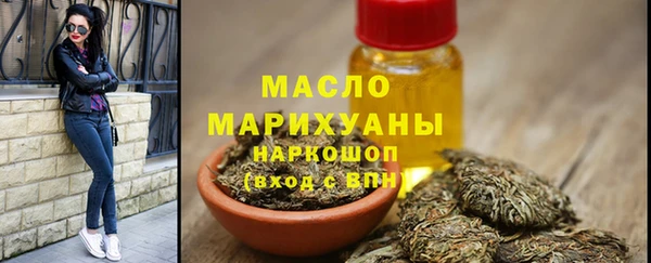 индика Краснослободск
