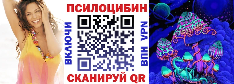 Псилоцибиновые грибы Psilocybe  Тимашёвск 